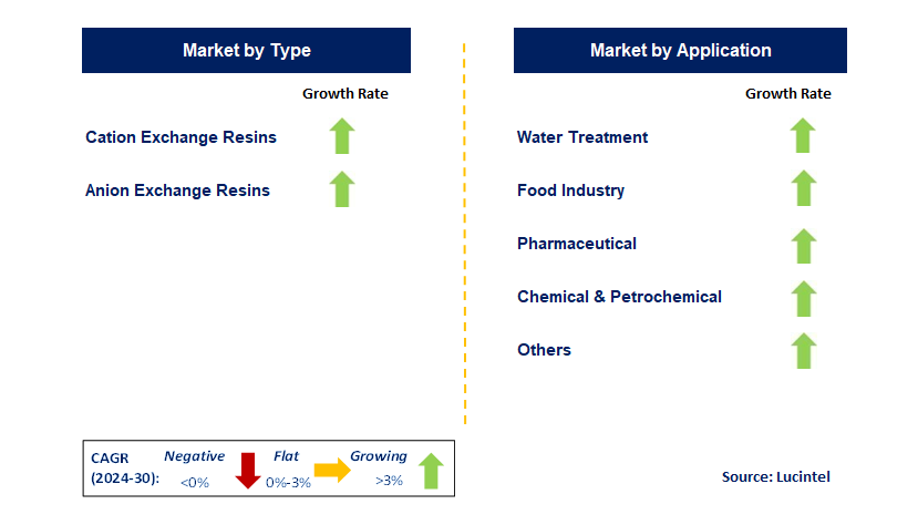 Cation and Anion Exchange Resin by Segment